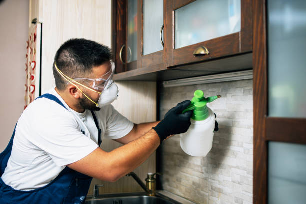 Best Wildlife Control Services  in Delavan Lake, WI