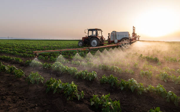 Best Ant Control Services  in Delavan Lake, WI