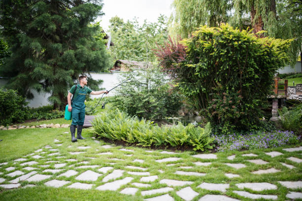 Best Pest Control Near Me  in Delavan Lake, WI