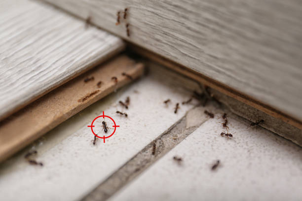 Pest Control for Restaurants in Delavan Lake, WI