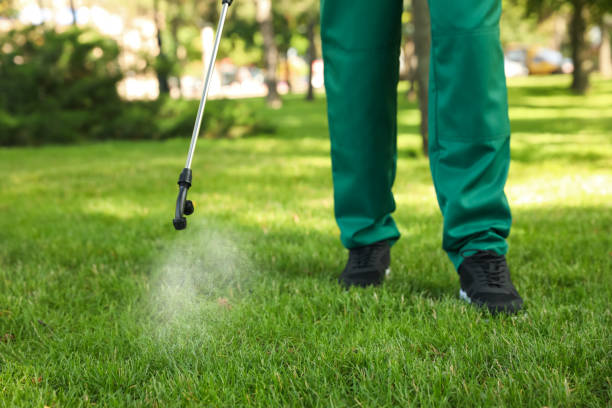 Best Affordable Pest Control Services  in Delavan Lake, WI