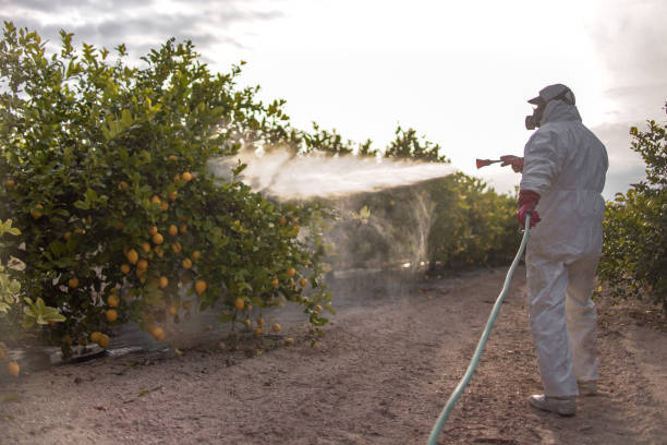 Best Rat Extermination Near Me  in Delavan Lake, WI
