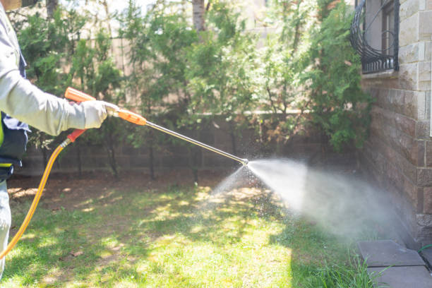 Best Pest Control Near Me in Delavan Lake, WI