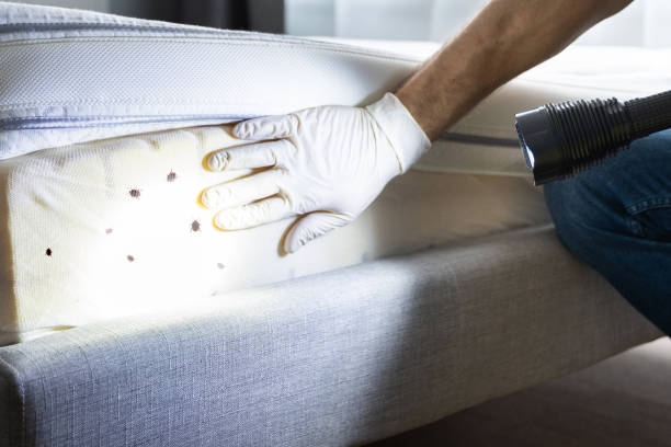 Best Pest Inspection Near Me  in Delavan Lake, WI