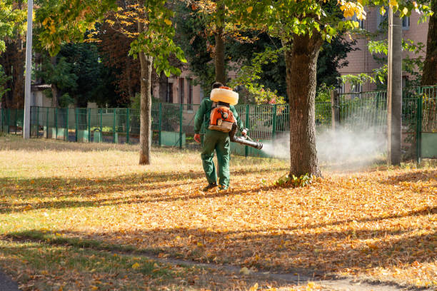 Best Residential Pest Control  in Delavan Lake, WI