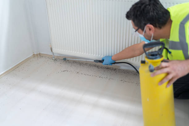 Best Bed Bug Extermination  in Delavan Lake, WI