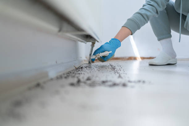Best Flea Control Services  in Delavan Lake, WI
